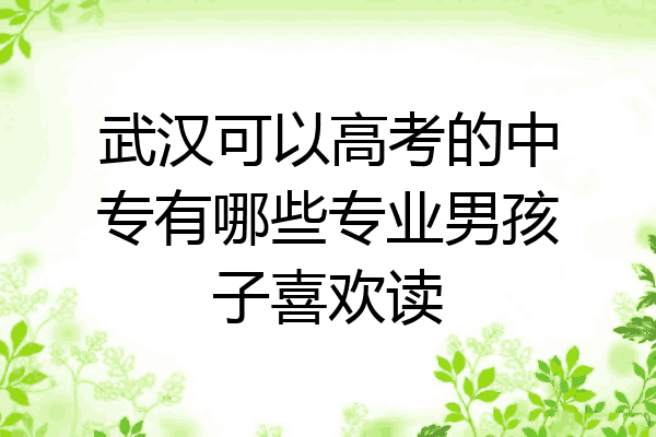 武汉可以高考的中专有哪些专业男孩子喜欢读