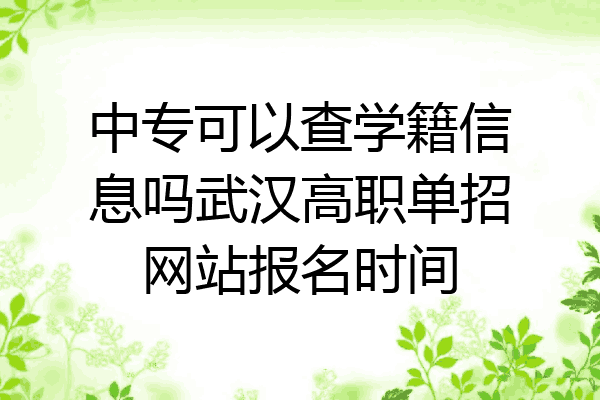 中专可以查学籍信息吗武汉高职单招网站报名时间