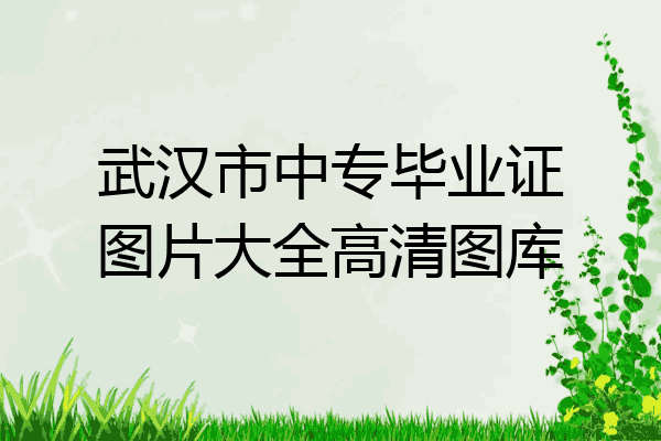 武汉市中专毕业证图片大全高清图库