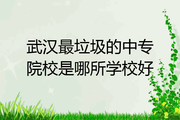 武汉最垃圾的中专院校是哪所学校好