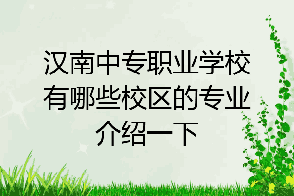 汉南中专职业学校有哪些校区的专业介绍一下
