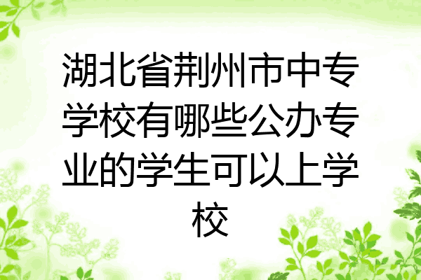 湖北省荆州市中专学校有哪些公办专业的学生可以上学校