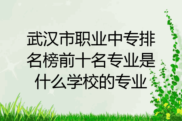 武汉市职业中专排名榜前十名专业是什么学校的专业