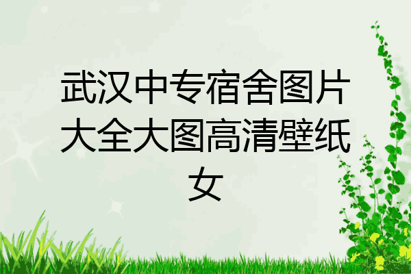 武汉中专宿舍图片大全大图高清壁纸女