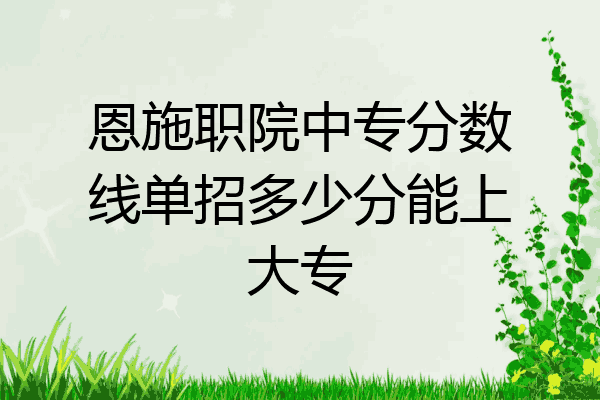 恩施职院中专分数线单招多少分能上大专