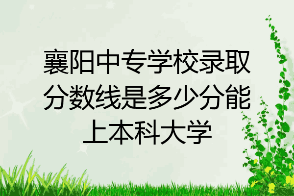 襄阳中专学校录取分数线是多少分能上本科大学