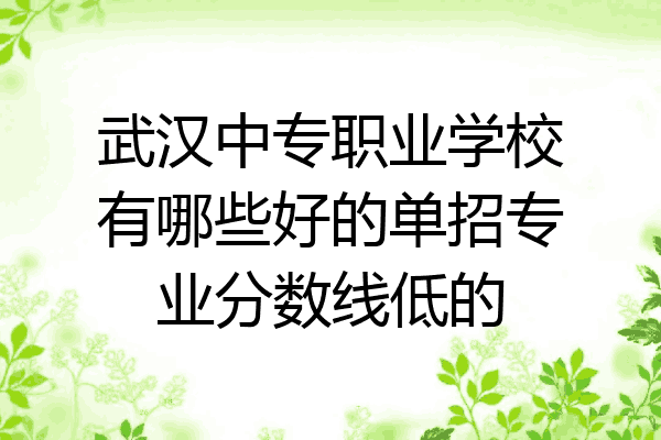 武汉中专职业学校有哪些好的单招专业分数线低的