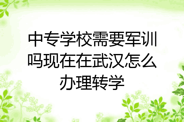 中专学校需要军训吗现在在武汉怎么办理转学