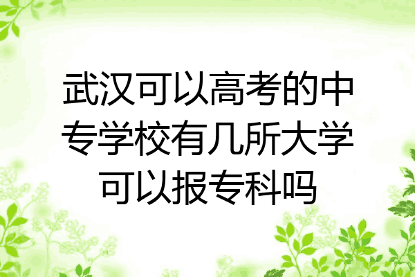 武汉可以高考的中专学校有几所大学可以报专科吗