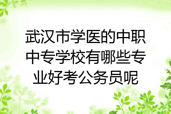武汉市学医的中职中专学校有哪些专业好考公务员呢