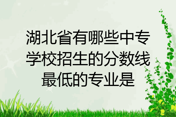 湖北省有哪些中专学校招生的分数线最低的专业是