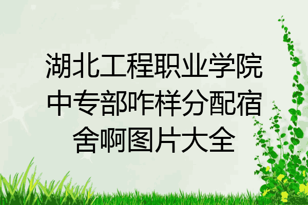 湖北工程职业学院中专部咋样分配宿舍啊图片大全