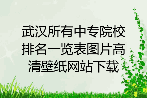 武汉所有中专院校排名一览表图片高清壁纸网站下载