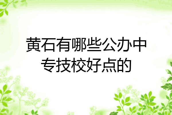 黄石有哪些公办中专技校好点的
