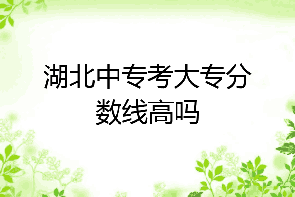 湖北中专考大专分数线高吗