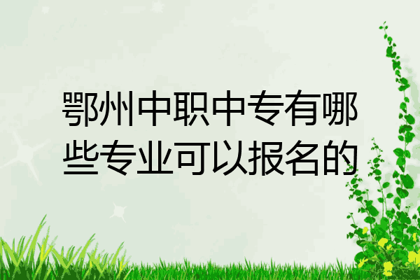 鄂州中职中专有哪些专业可以报名的
