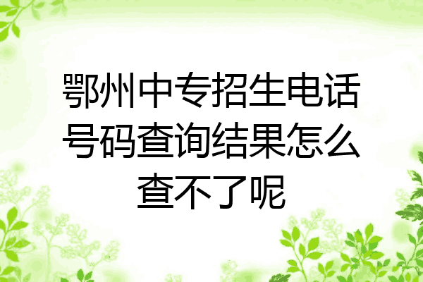 鄂州中专招生电话号码查询结果怎么查不了呢