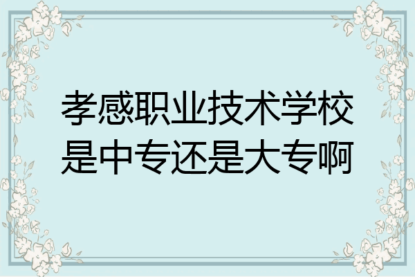 孝感职业技术学校是中专还是大专啊