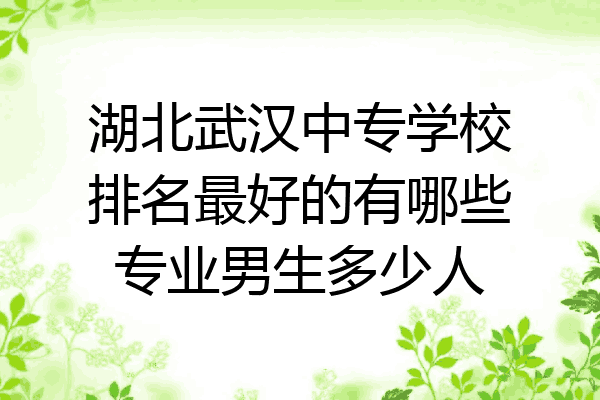 湖北武汉中专学校排名最好的有哪些专业男生多少人