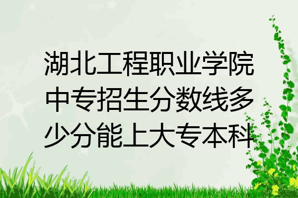 湖北工程职业学院中专招生分数线多少分能上大专本科