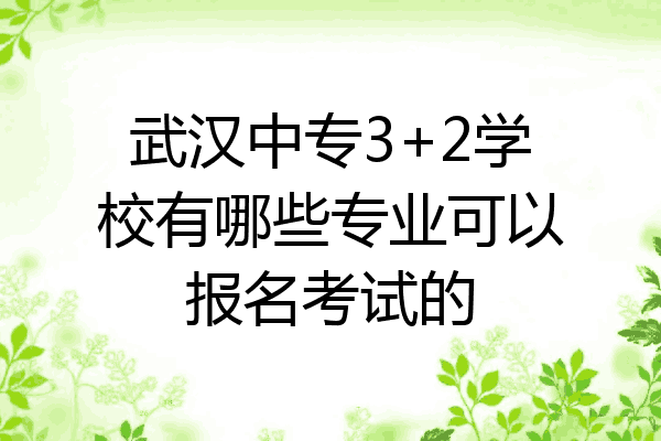 武汉中专3+2学校有哪些专业可以报名考试的