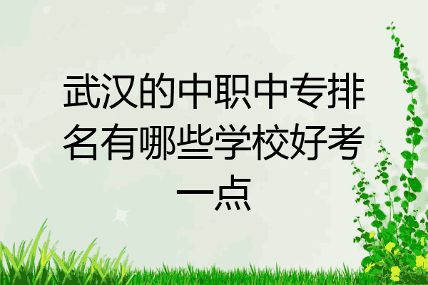 武汉的中职中专排名有哪些学校好考一点