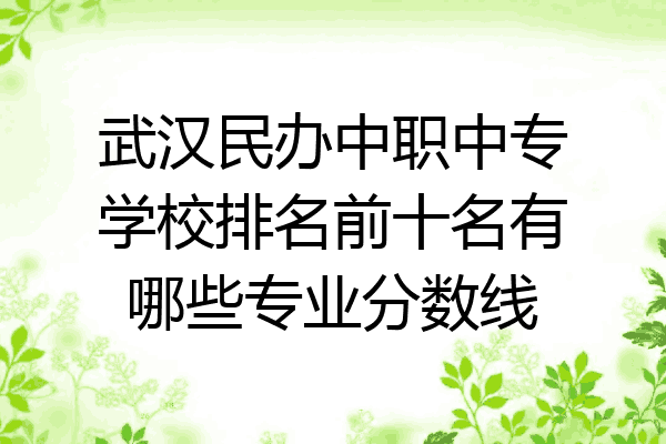 武汉民办中职中专学校排名前十名有哪些专业分数线