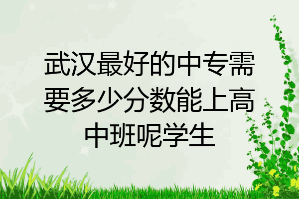 武汉最好的中专需要多少分数能上高中班呢学生