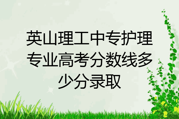 英山理工中专护理专业高考分数线多少分录取