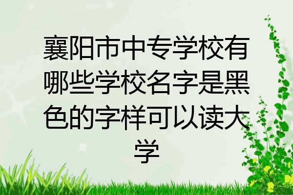襄阳市中专学校有哪些学校名字是黑色的字样可以读大学