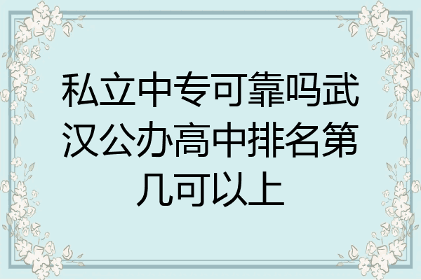 私立中专可靠吗武汉公办高中排名第几可以上