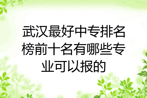 武汉最好中专排名榜前十名有哪些专业可以报的
