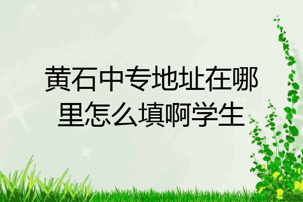 黄石中专地址在哪里怎么填啊学生