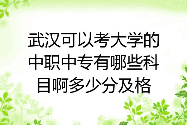武汉可以考大学的中职中专有哪些科目啊多少分及格