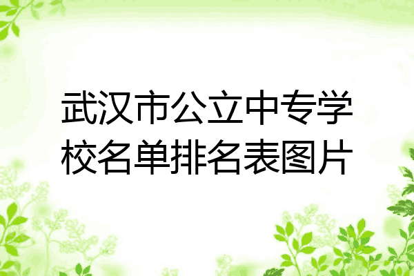 武汉市公立中专学校名单排名表图片