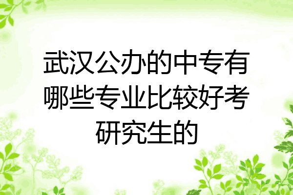 武汉公办的中专有哪些专业比较好考研究生的