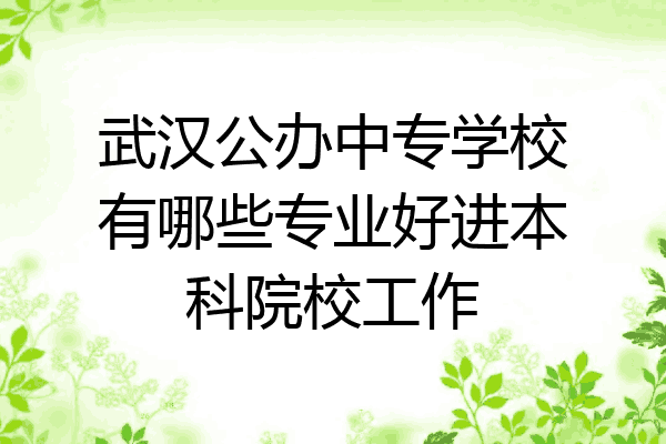 武汉公办中专学校有哪些专业好进本科院校工作