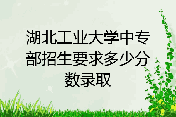 湖北工业大学中专部招生要求多少分数录取