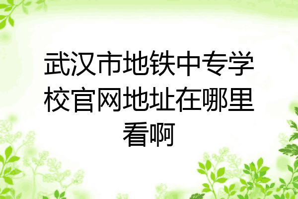 武汉市地铁中专学校官网地址在哪里看啊