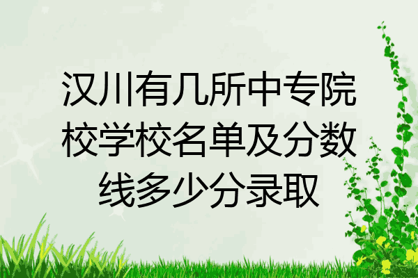 汉川有几所中专院校学校名单及分数线多少分录取