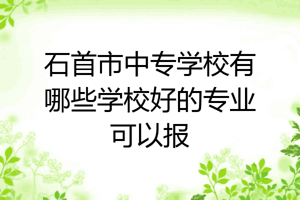 石首市中专学校有哪些学校好的专业可以报