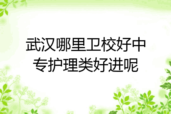 武汉哪里卫校好中专护理类好进呢