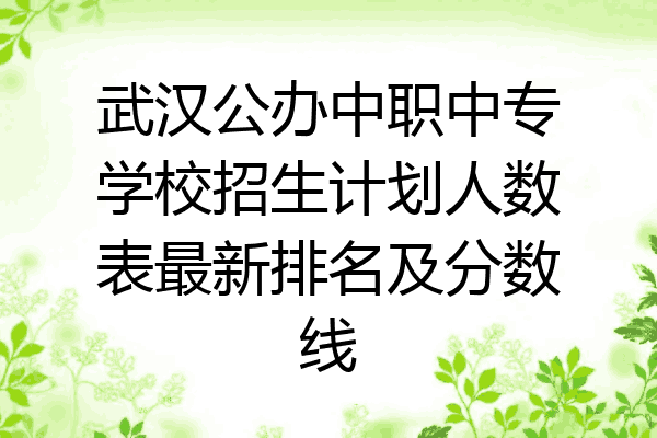 武汉公办中职中专学校招生计划人数表最新排名及分数线