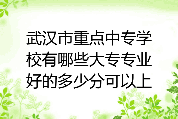 武汉市重点中专学校有哪些大专专业好的多少分可以上