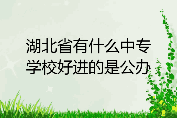 湖北省有什么中专学校好进的是公办