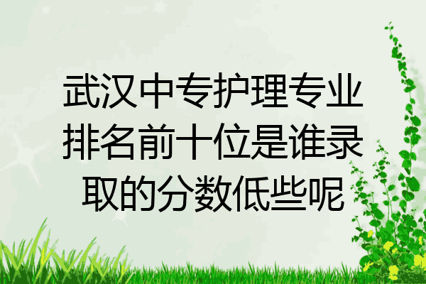 武汉中专护理专业排名前十位是谁录取的分数低些呢