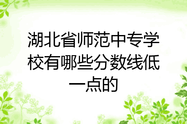 湖北省师范中专学校有哪些分数线低一点的