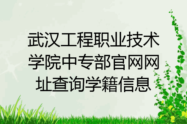 武汉工程职业技术学院中专部官网网址查询学籍信息