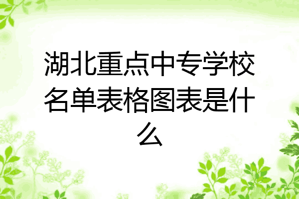 湖北重点中专学校名单表格图表是什么
