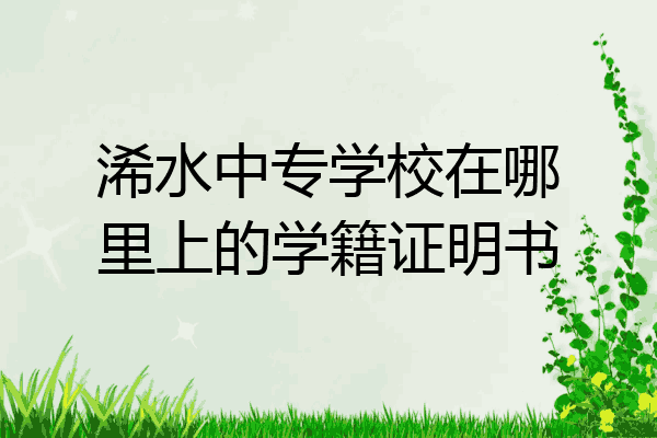 浠水中专学校在哪里上的学籍证明书